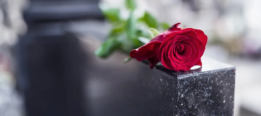 Gravestone with red rose 